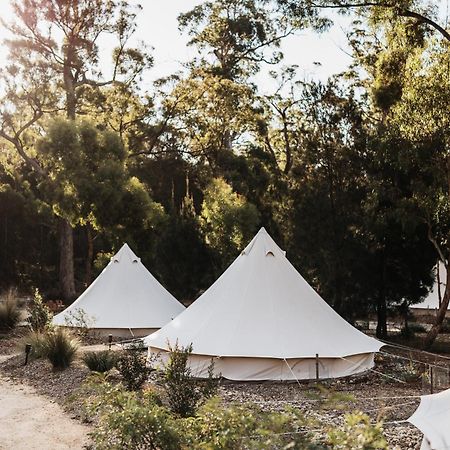 Bay Of Fires Bush Retreat Bed & Breakfast Binalong Bay Bagian luar foto